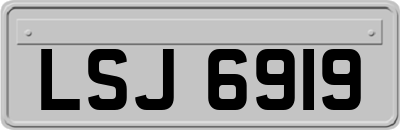 LSJ6919