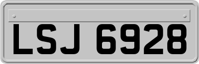 LSJ6928