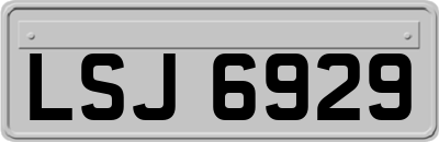 LSJ6929