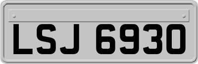LSJ6930
