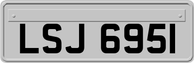 LSJ6951