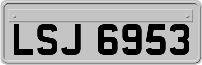 LSJ6953