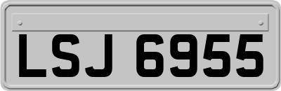 LSJ6955