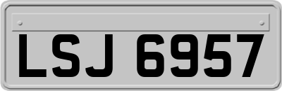 LSJ6957