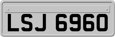 LSJ6960