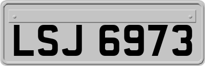 LSJ6973