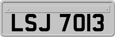 LSJ7013