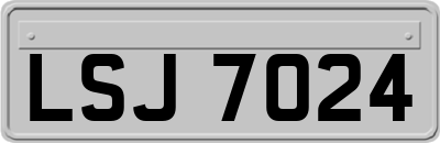 LSJ7024