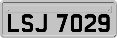LSJ7029