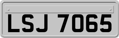 LSJ7065