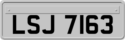 LSJ7163