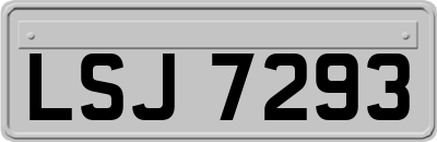 LSJ7293