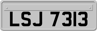 LSJ7313