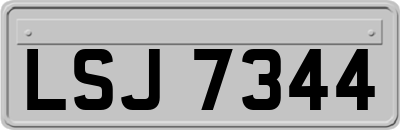 LSJ7344