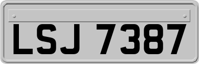 LSJ7387