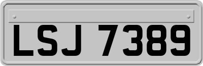 LSJ7389