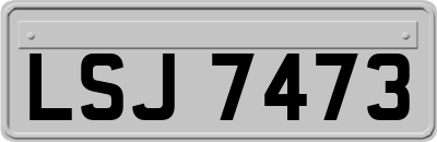LSJ7473