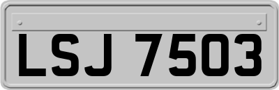 LSJ7503