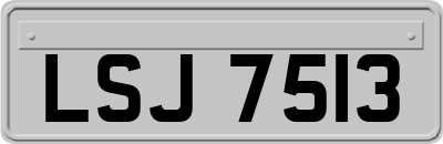 LSJ7513