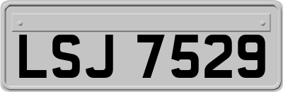LSJ7529