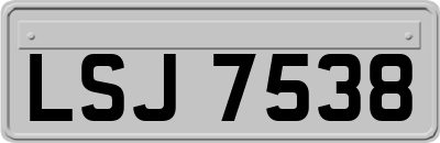 LSJ7538