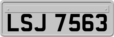 LSJ7563