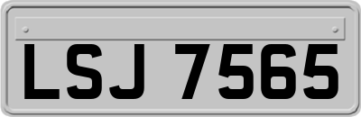 LSJ7565