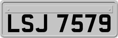 LSJ7579