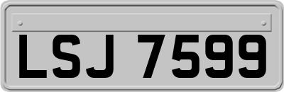 LSJ7599