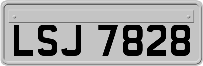 LSJ7828