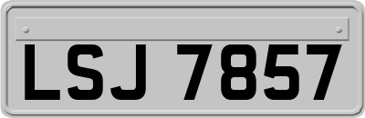 LSJ7857