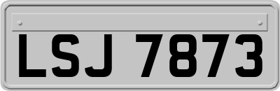 LSJ7873