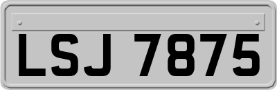 LSJ7875