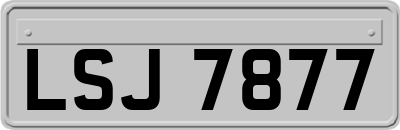 LSJ7877