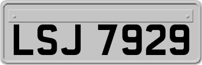 LSJ7929