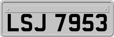 LSJ7953