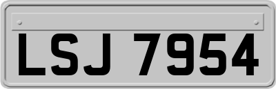 LSJ7954