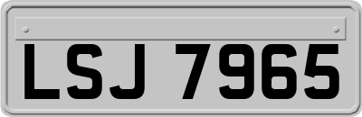 LSJ7965