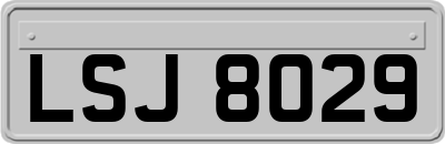 LSJ8029