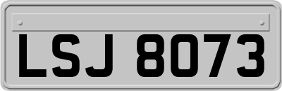 LSJ8073