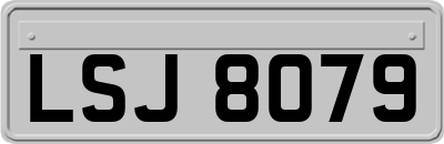 LSJ8079