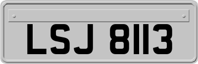 LSJ8113