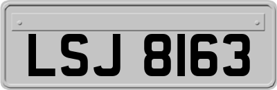 LSJ8163