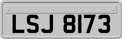 LSJ8173