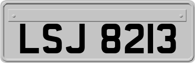 LSJ8213