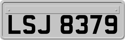 LSJ8379