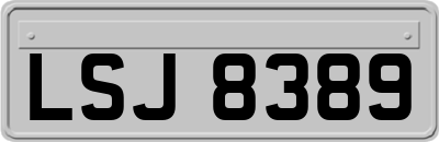 LSJ8389