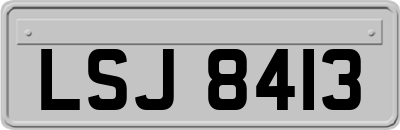 LSJ8413
