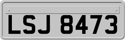 LSJ8473
