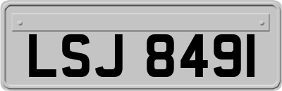 LSJ8491